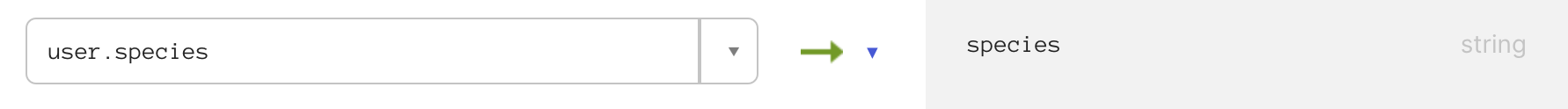 Custom Attribute Mapping