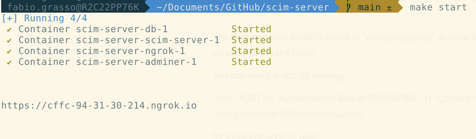 Docker-compose startup