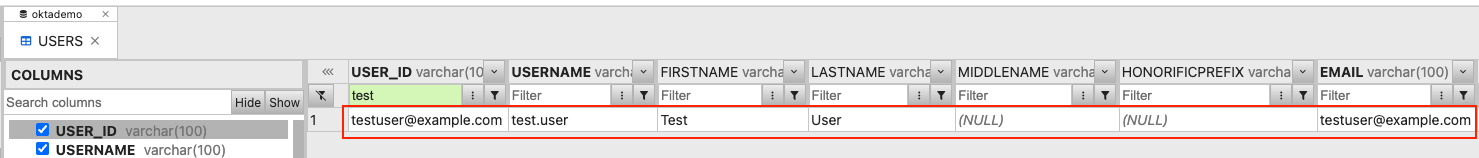 Verify new user created in DBGate USERS table showing USER_ID, USERNAME, FIRSTNAME, LASTNAME, and EMAIL columns