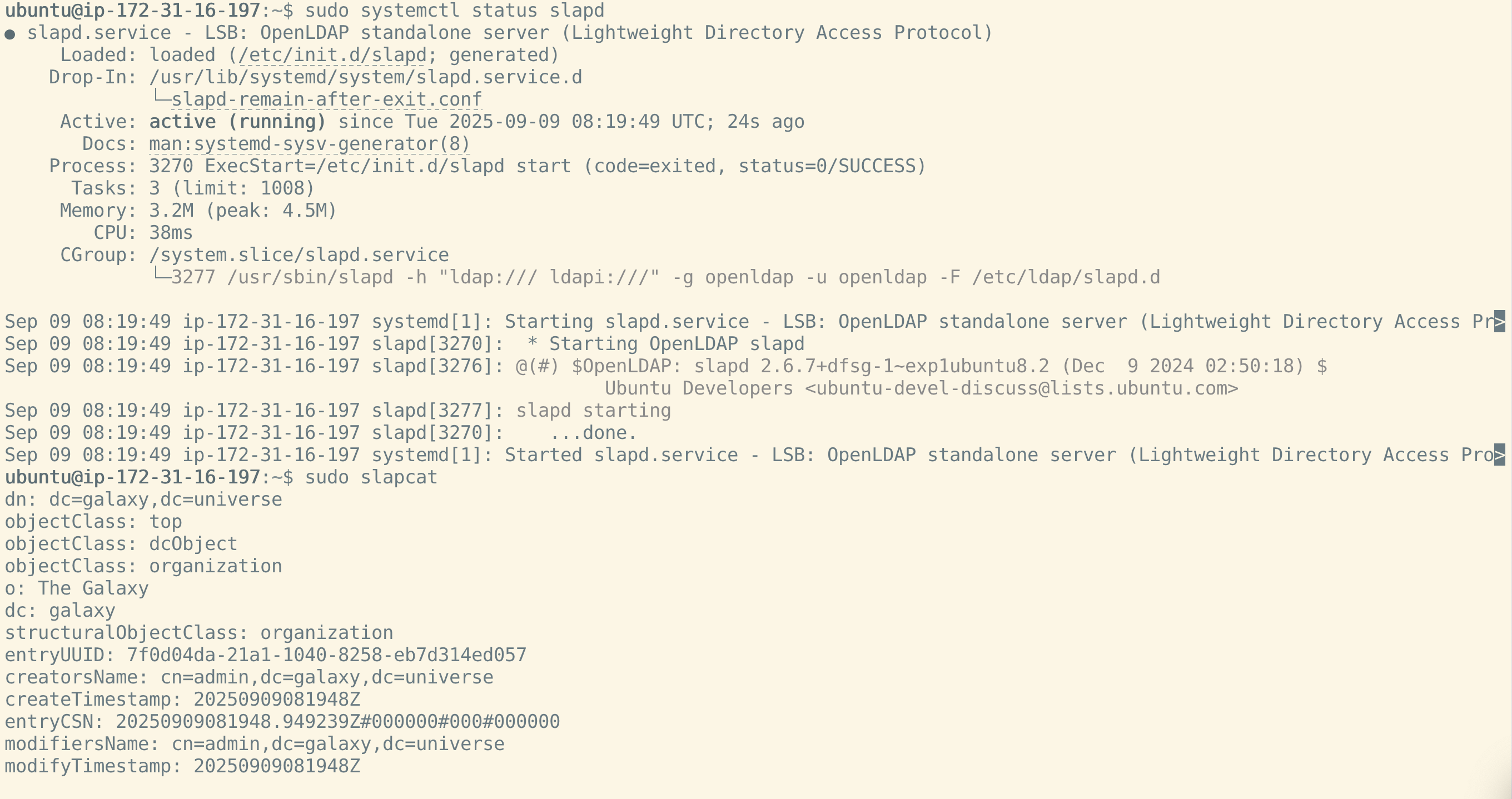 OpenLDAP systemctl status output