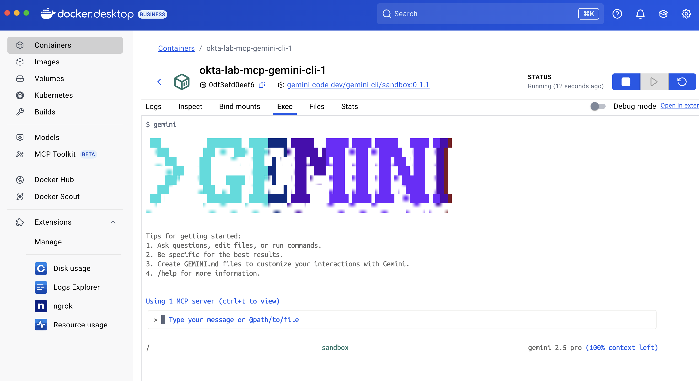 Gemini cli running in Docker Desktop